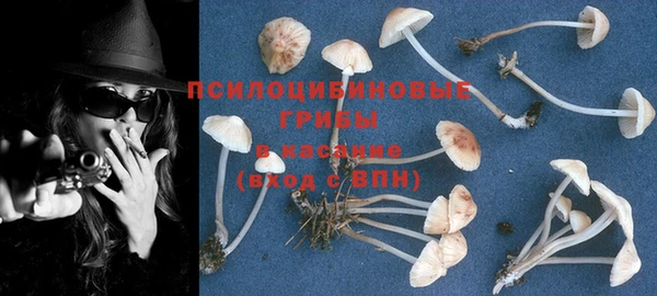 не бодяженный Баксан