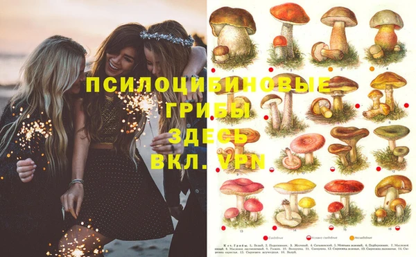 не бодяженный Баксан