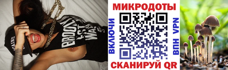 Псилоцибиновые грибы MAGIC MUSHROOMS  Красный Холм 